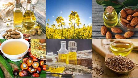 Hydraulic Oil Press Machine